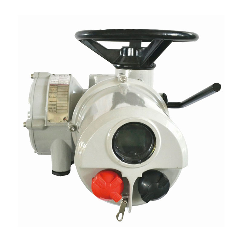 Angular Stroke Intelligent Electric Actuator Angular Stroke Intelligent Electric Actuator