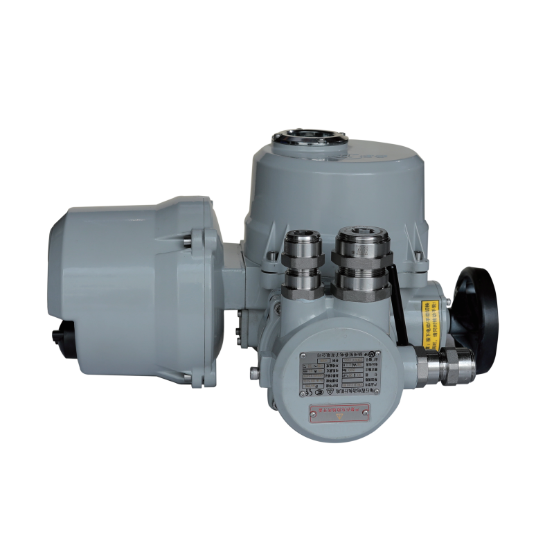 Angular Stroke Intelligent Electric Actuator