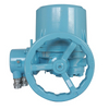 Turn Electric Valve Actuator