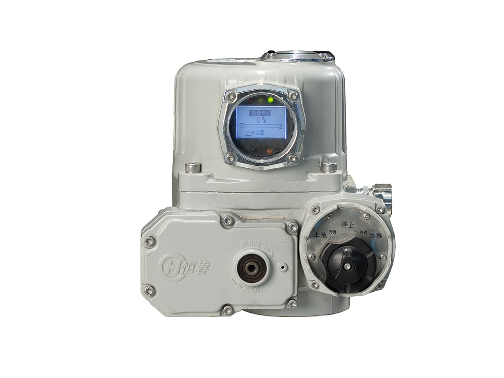 Marine Electric Actuators