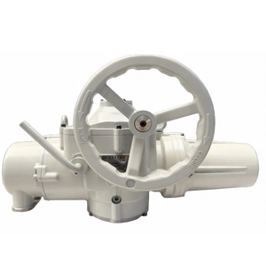Basic Multi-turn Electric Actuator