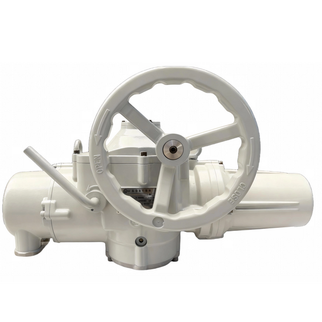 Basic Multi-turn Electric Actuator