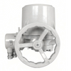 Basic Multi-turn Electric Actuator from CKDA Series