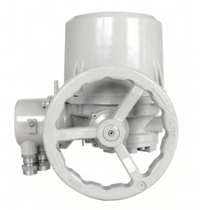 Basic Multi-turn Electric Actuator from CKDA Series