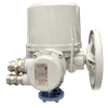 Basic Multi-turn Electric Actuator from CKDA Series