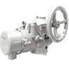 Basic Multi-turn Electric Actuator